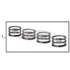 ALFA ROMEO 145/146 97-01 SEGMAN STD 1.4 TWINSPARK TAKIM ALFA ROMEO 145/146 97-01 SEGMAN STD 1.4 TWINSPARK TAKIM