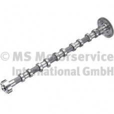 VOLVO EGZOZ EKSANTRİK MİLİ D3/D5 30750759